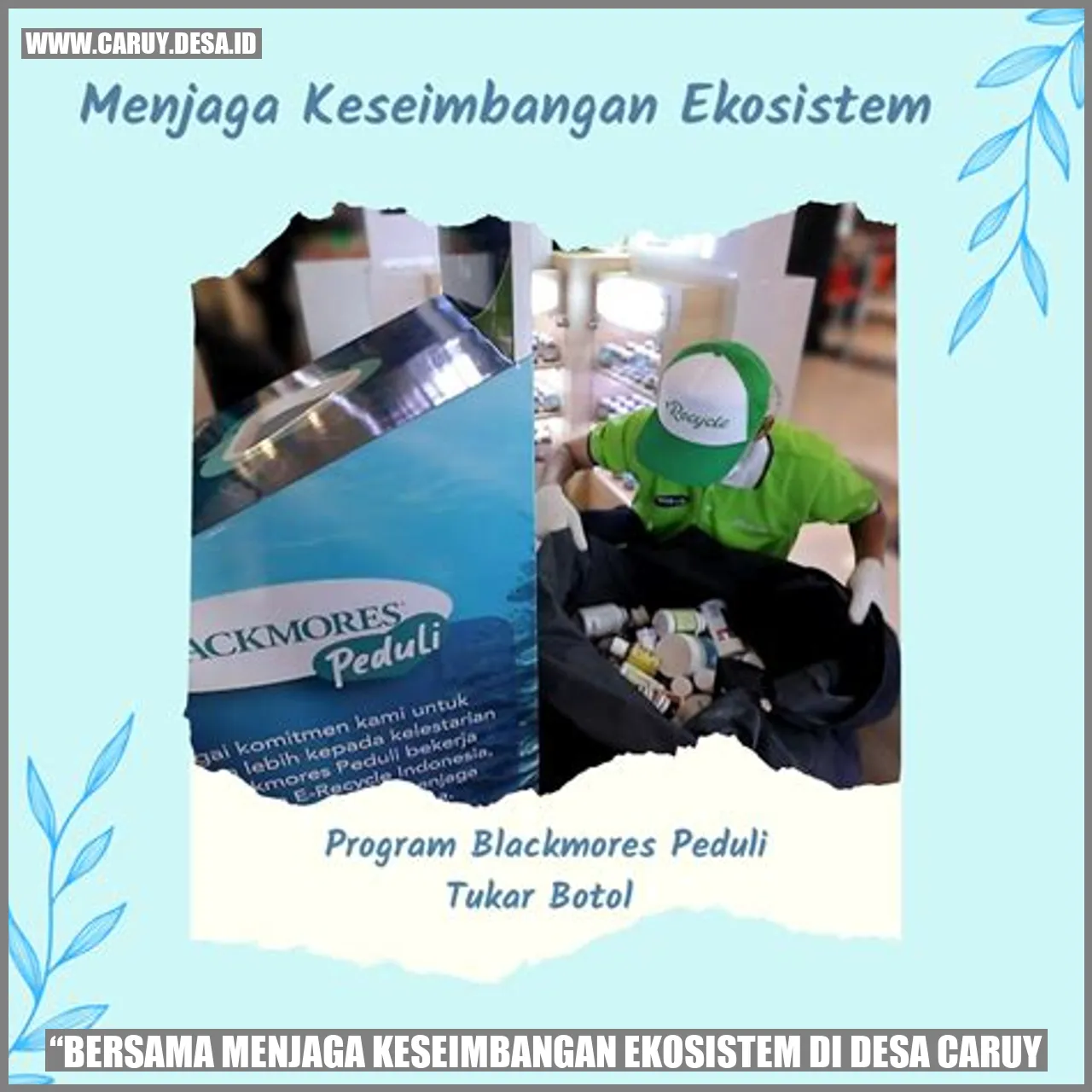 Gambar ekosistem di Desa Caruy
