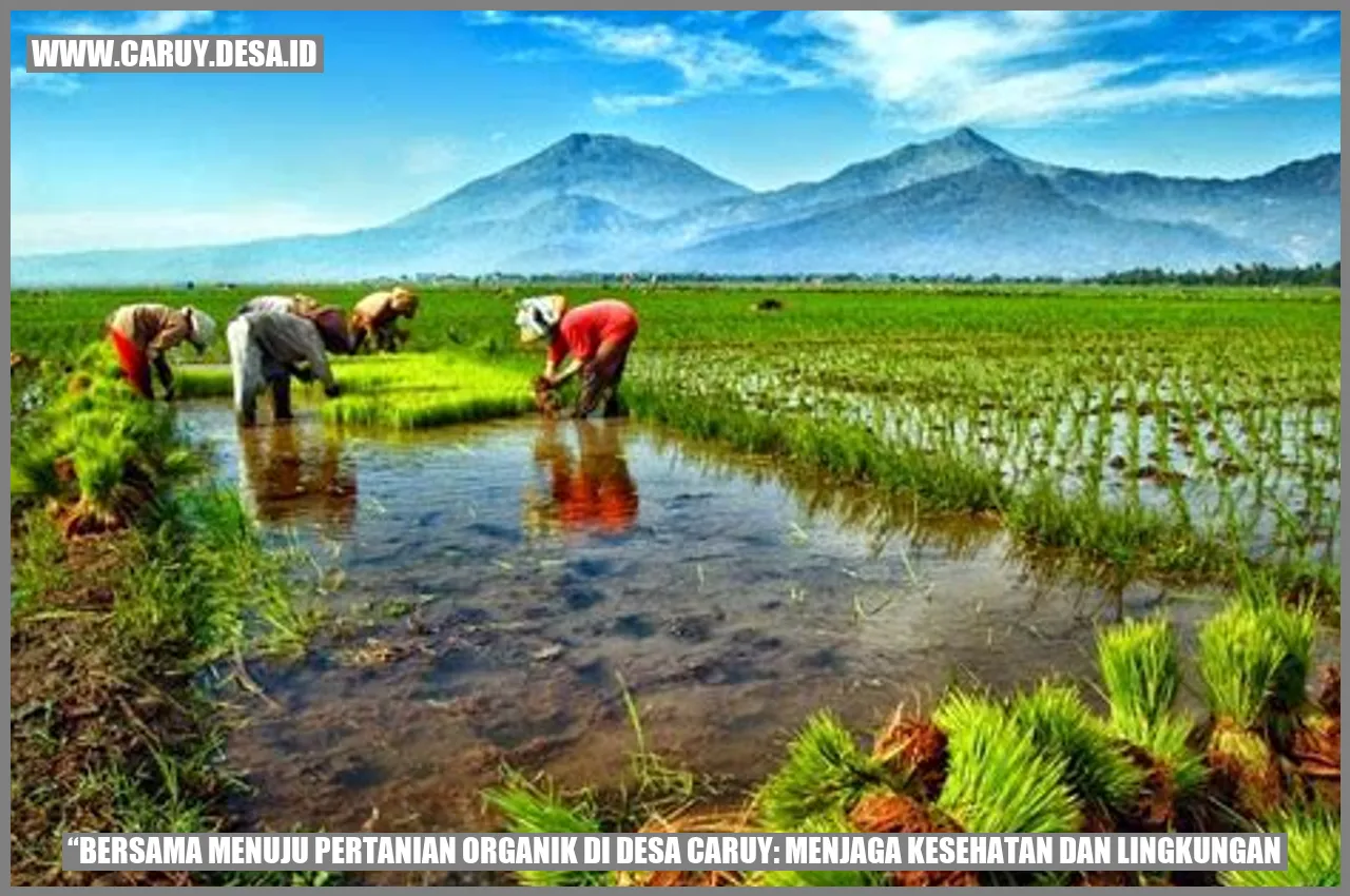 gambar pertanian organik