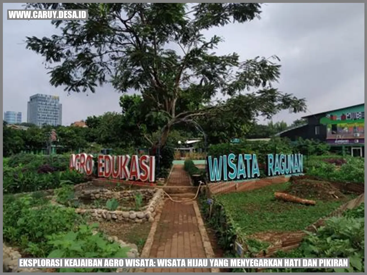 Desa Caruy, Cilacap
