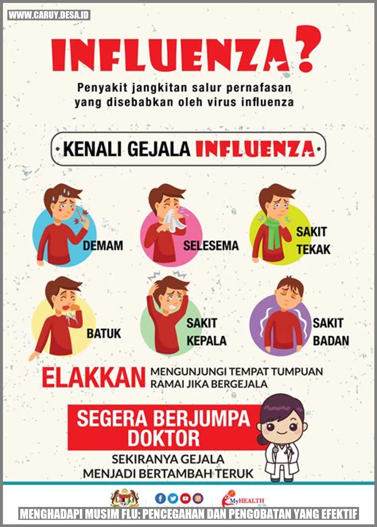 Musim Flu