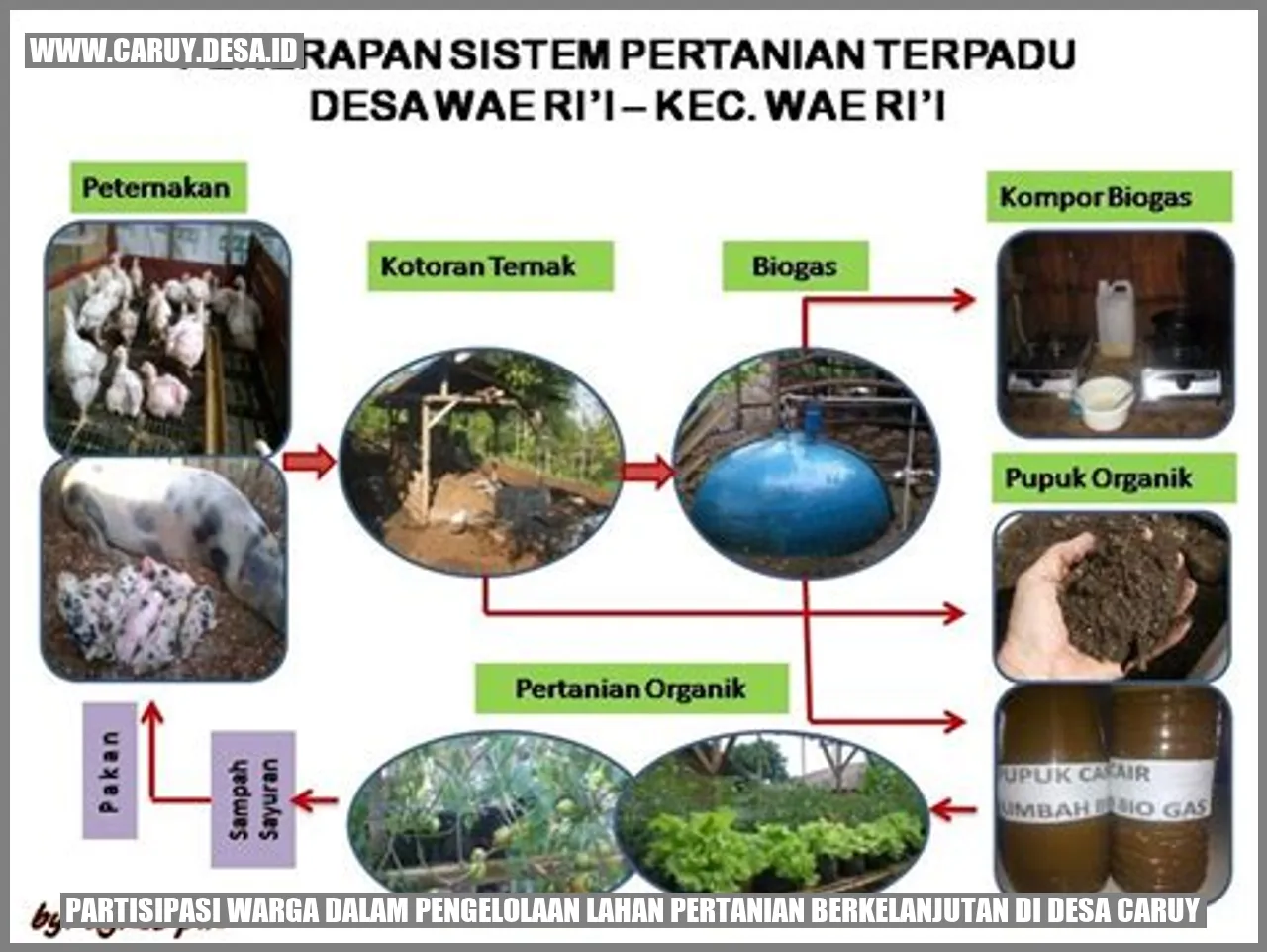 Partisipasi Warga dalam Pengelolaan Lahan Pertanian Berkelanjutan di Desa Caruy