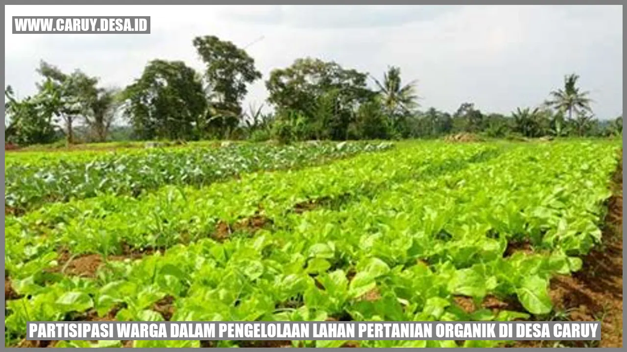 Partisipasi Warga dalam Pengelolaan Lahan Pertanian Organik di Desa Caruy