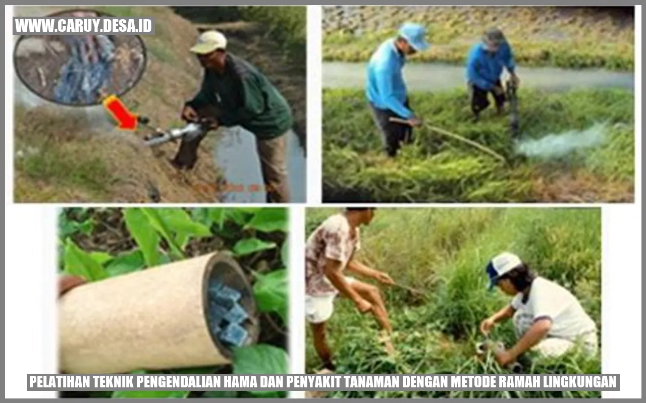 Pelatihan Teknik Pengendalian Hama dan Penyakit Tanaman dengan Metode Ramah Lingkungan