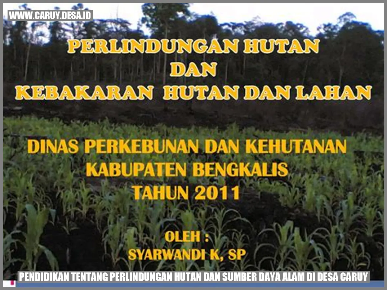 Hutan di Desa Caruy