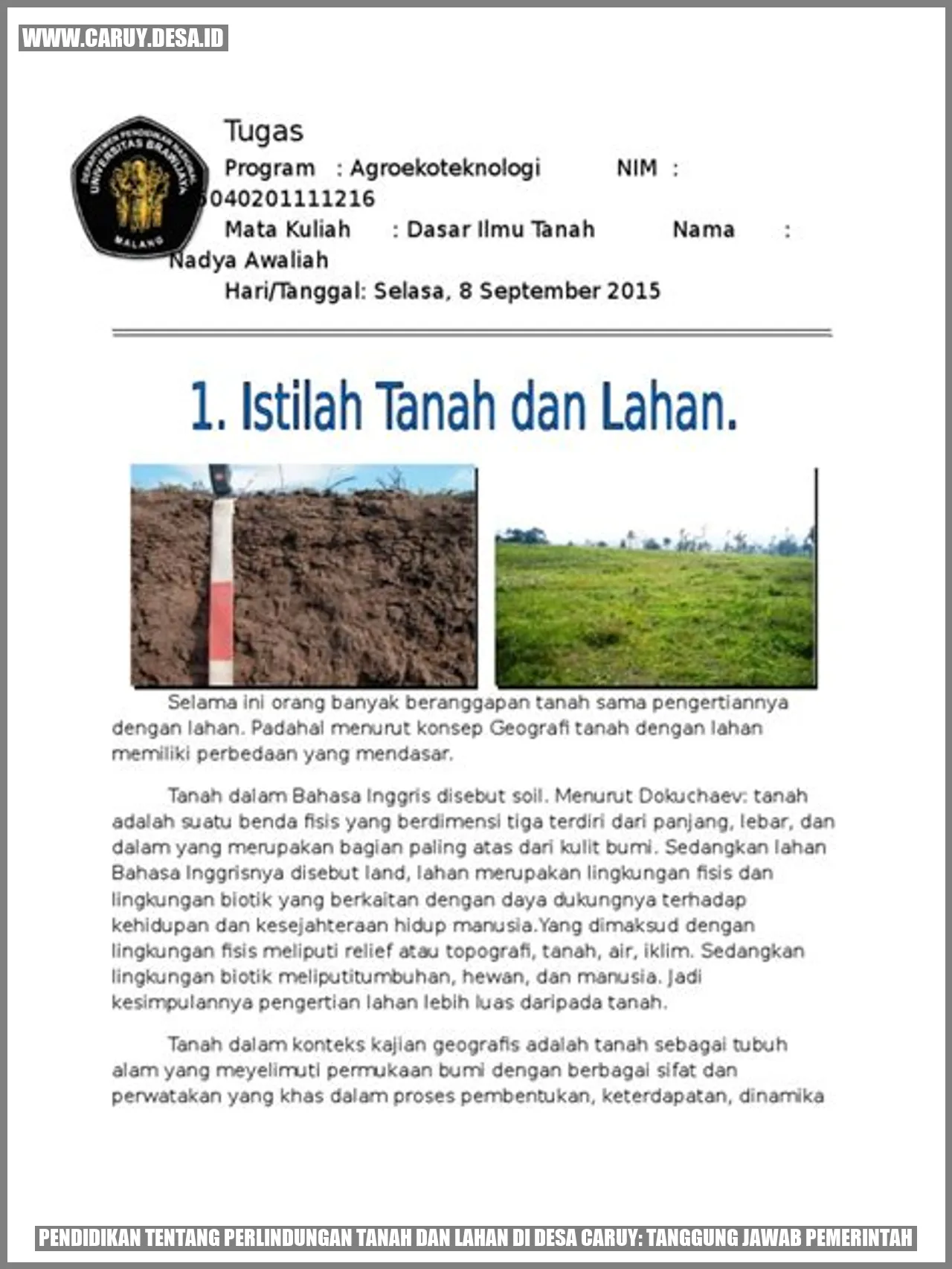Ilustrasi Pertanian di Desa Caruy