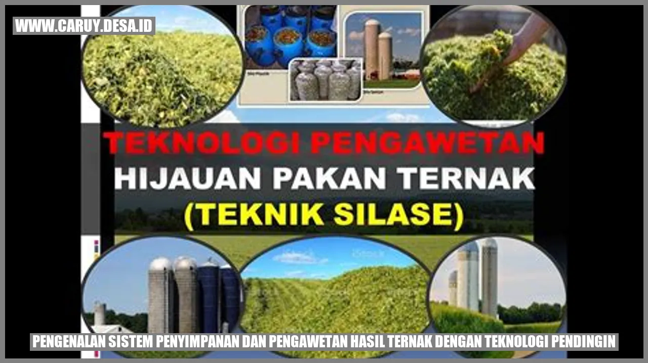 Ruangan Dingin