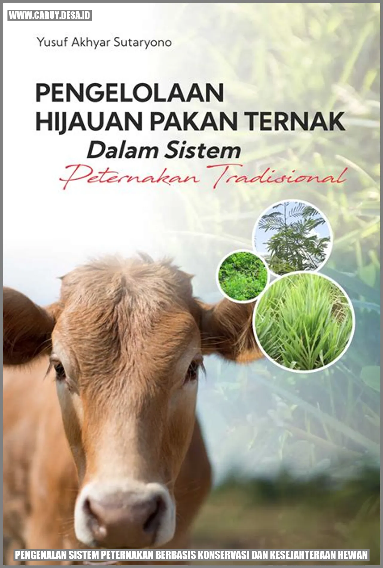 gambar peternakan