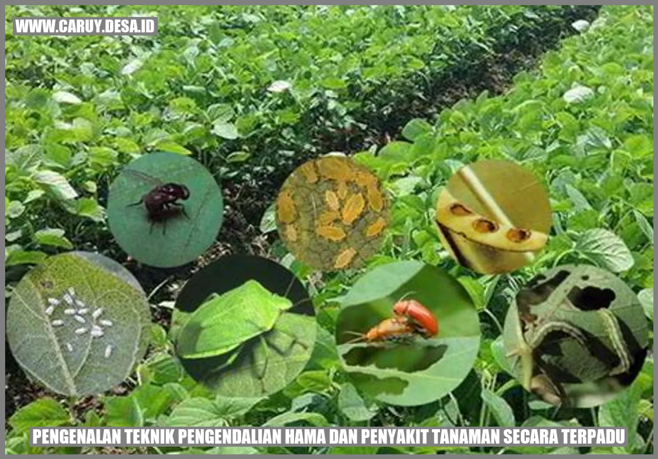 Teknik Pengendalian Hama dan Penyakit Tanaman secara Terpadu