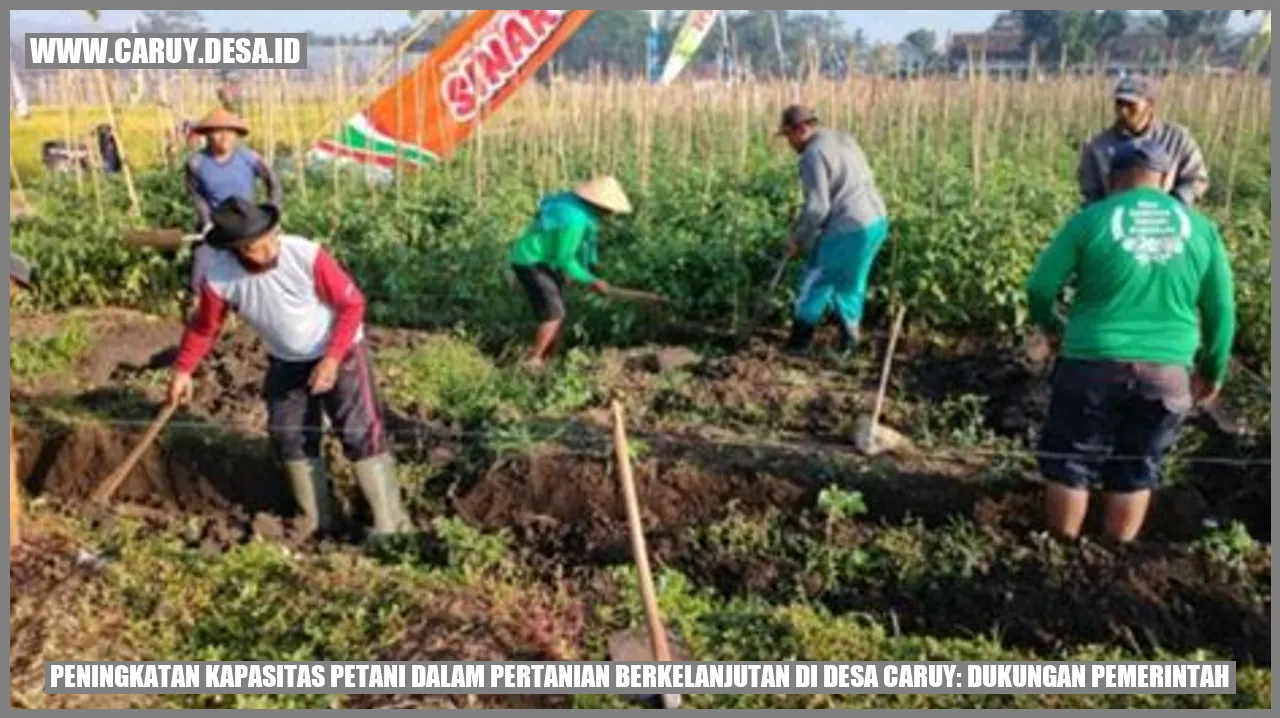 Peningkatan Kapasitas Petani dalam Pertanian Berkelanjutan di Desa Caruy: Dukungan Pemerintah