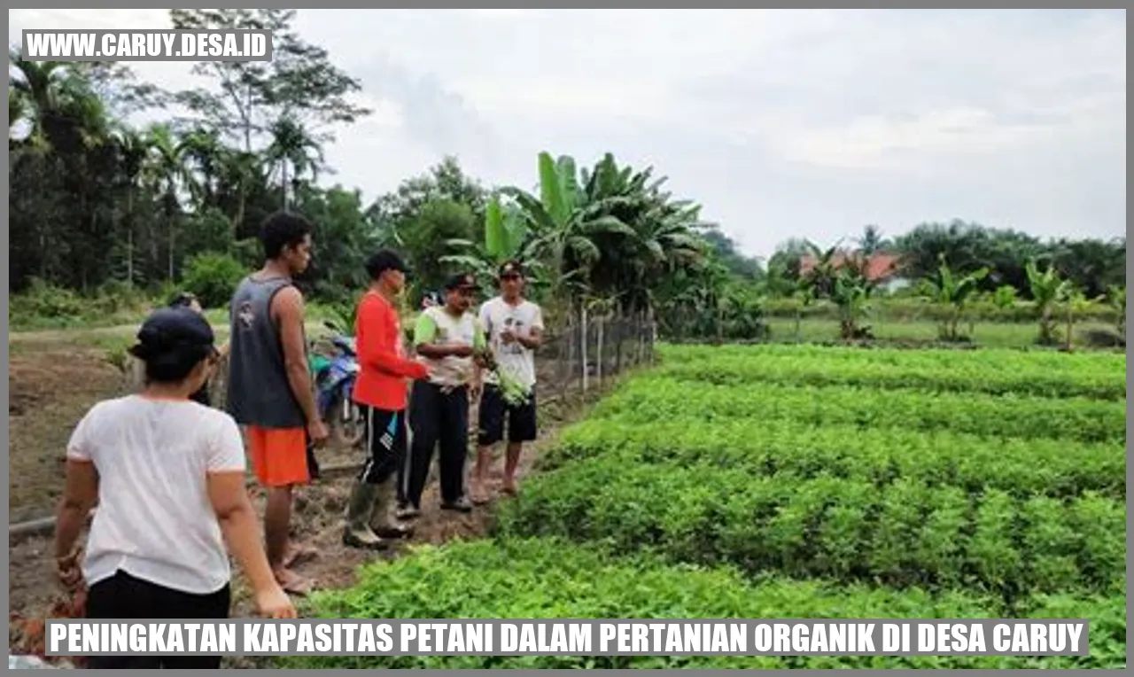 Peningkatan Kapasitas Petani dalam Pertanian Organik di Desa Caruy