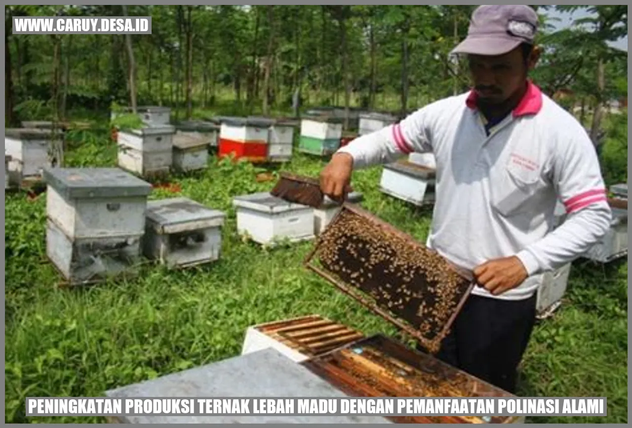 Peningkatan Produksi Ternak Lebah Madu dengan Pemanfaatan Polinasi Alami