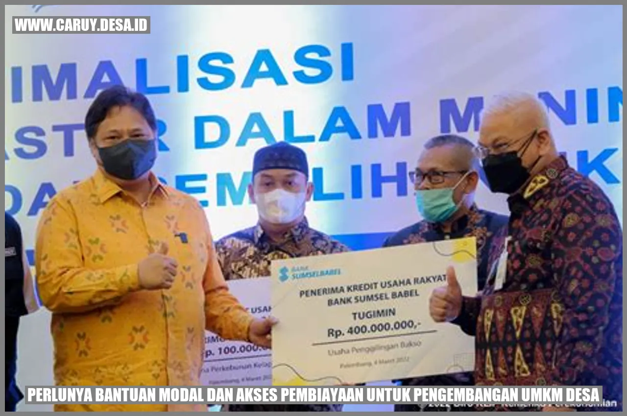 Perlunya Bantuan Modal dan Akses Pembiayaan untuk Pengembangan UMKM Desa